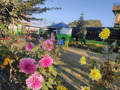 B20 Garden Restaurant image 2