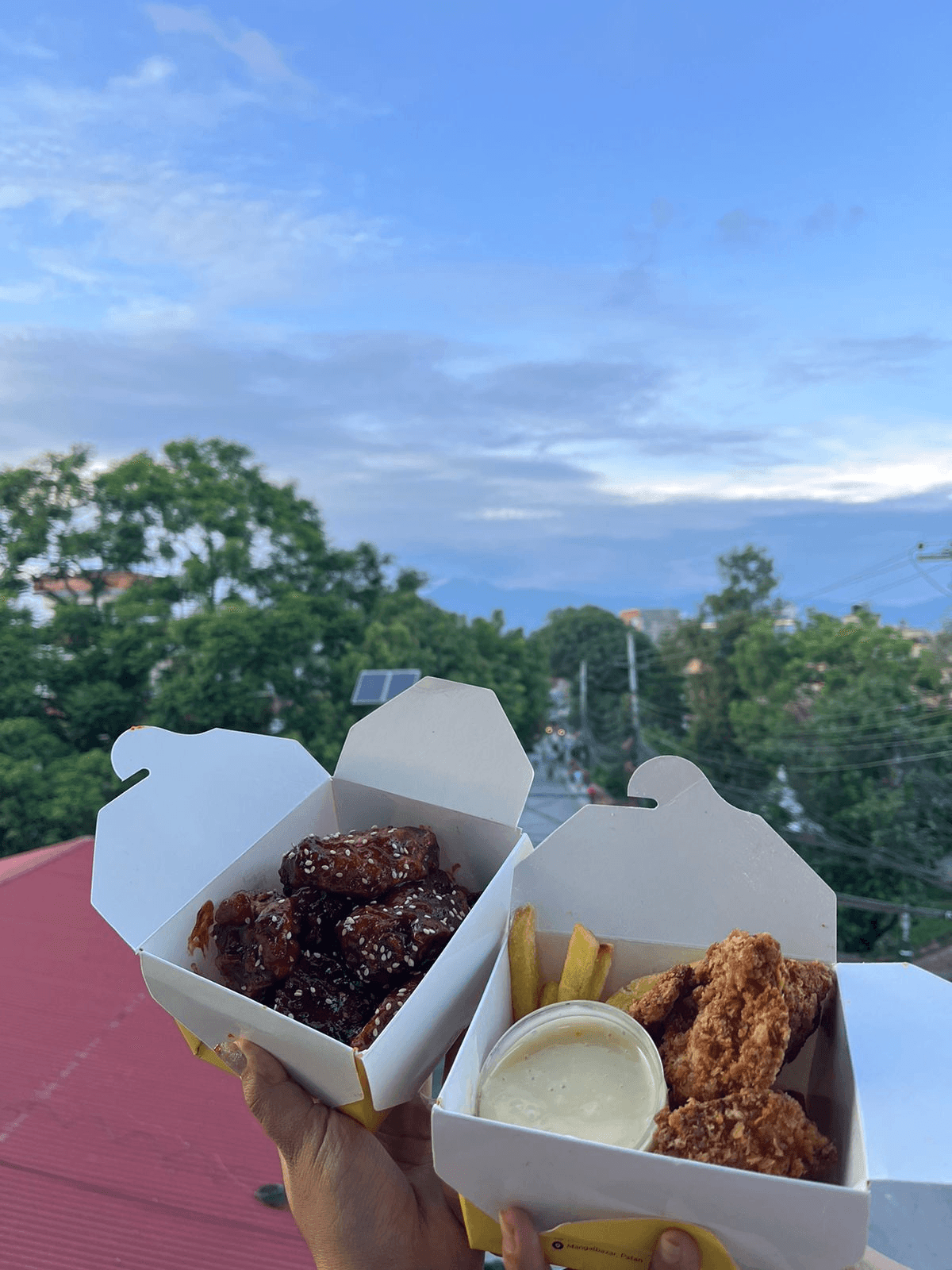 Frenzie Fries image 4